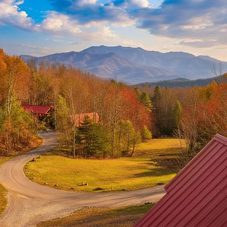 Best Value: Hot Tub Cabin Nights Under Stars-2
