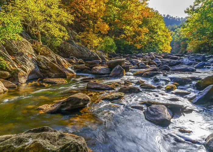 Family Ties Lodge Gatlinburg